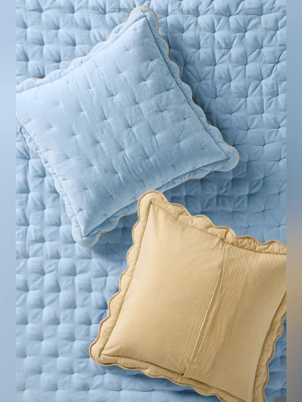 Anthropologie Abbott Cotton Velvet Solid Scalloped Euro Shams, Set of 2